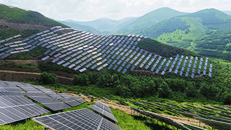 %E5%B4%87%E7%A4%BC%E6%99%9F%E5%9E%A3%E6%89%AF%E6%97%97%E5%85%89%E4%BC%8F%E5%8F%91%E7%94%B5%E9%A1%B9%E7%9B%AE1