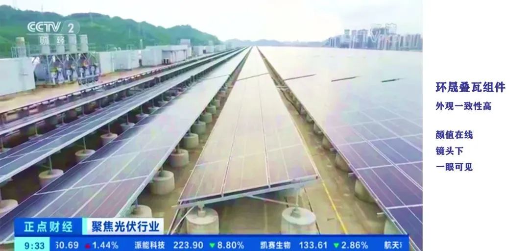 %E5%86%8D%E7%99%BB%E5%A4%AE%E8%A7%86%EF%BC%81%E9%AB%98%E4%BB%B7%E5%80%BC%E4%B8%8E%E9%A2%9C%E5%80%BC%E5%B9%B6%E5%85%B1%EF%BC%812