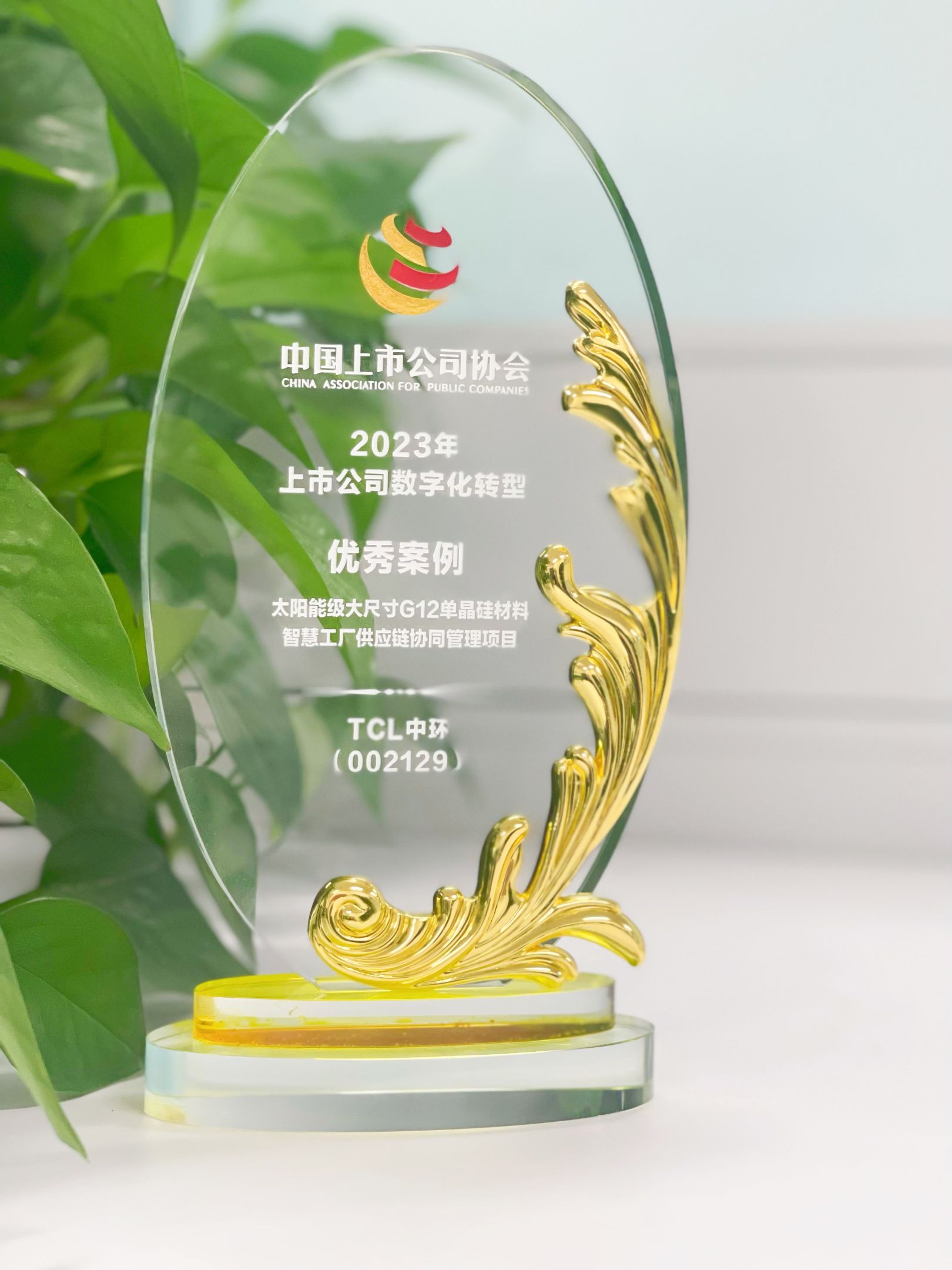 %E5%BE%AE%E4%BF%A1%E5%9B%BE%E7%89%87_20230531190351